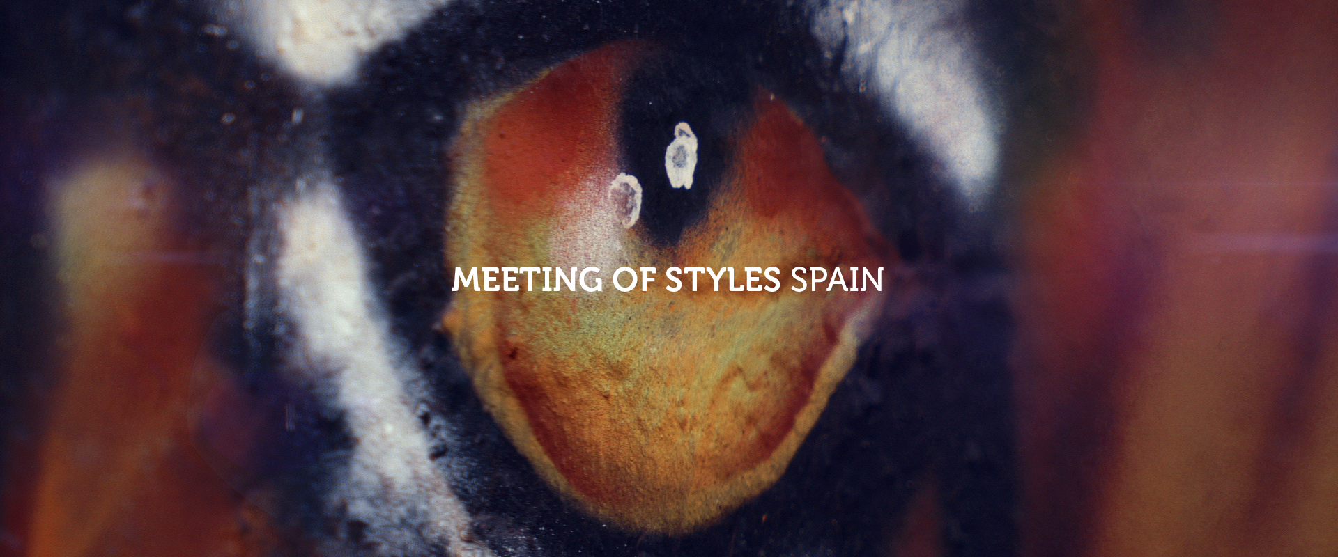 Meeting of Styles – Spain